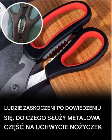 LUDZIE ZASKOCZENI PO DOWIEDZENIU SIĘ, DO CZEGO SŁUŻY METALOWA CZĘŚĆ NA UCHWYCIE NOŻYCZEK