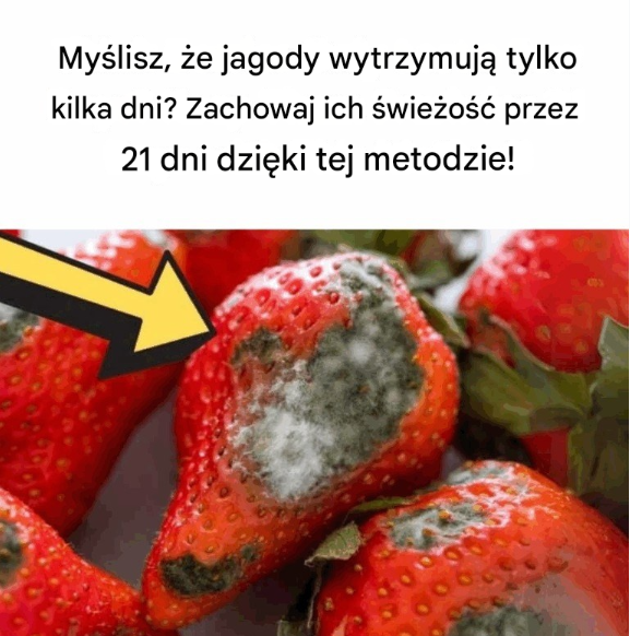 Myślisz, że jagody wytrzymują tylko kilka dni? Zachowaj ich świeżość przez 21 dni dzięki tej metodzie!