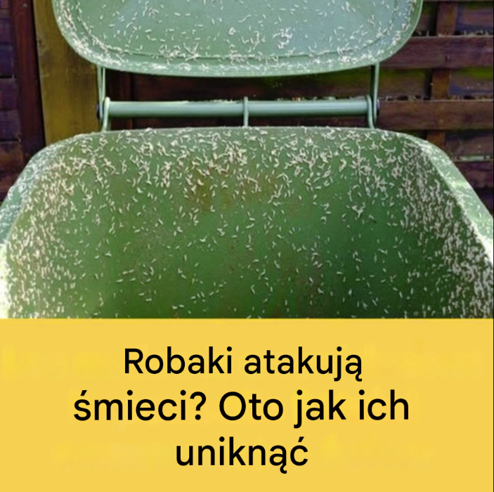 4 skuteczne wskazówki, jak pozbyć się robaków z zewnętrznego kosza na śmieci