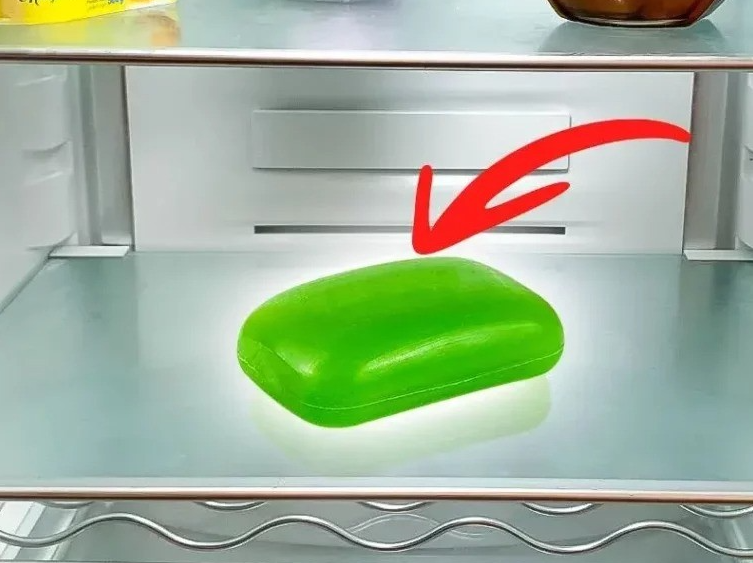 4 wskazówki, jak nadać zapach lodówce — świeżość i przyjemny aromat na co dzień