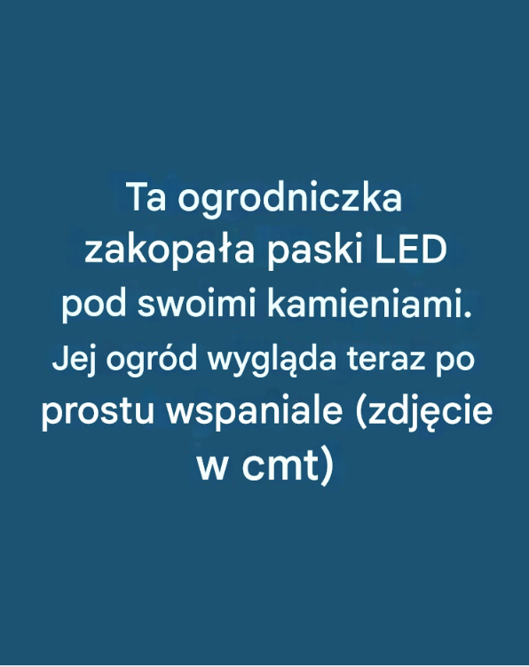 Ta ogrodniczka zakopała paski LED pod swoimi kamieniami. Jej ogród wygląda teraz po prostu wspaniale.