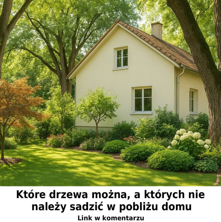 Które drzewa można, a których nie należy sadzić w pobliżu domu